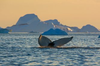 RS15898_Ilulissat2018-09-01DSC_5956